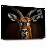 Striking Antelope Close-Up Portrait - Bold Wildlife Wall Art Decor