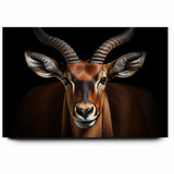 Striking Antelope Close-Up Portrait - Bold Wildlife Wall Art Decor