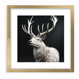 Majestic White Antelope with Regal Antlers - Elegant Wall Art Decor