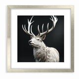 Majestic White Antelope with Regal Antlers - Elegant Wall Art Decor