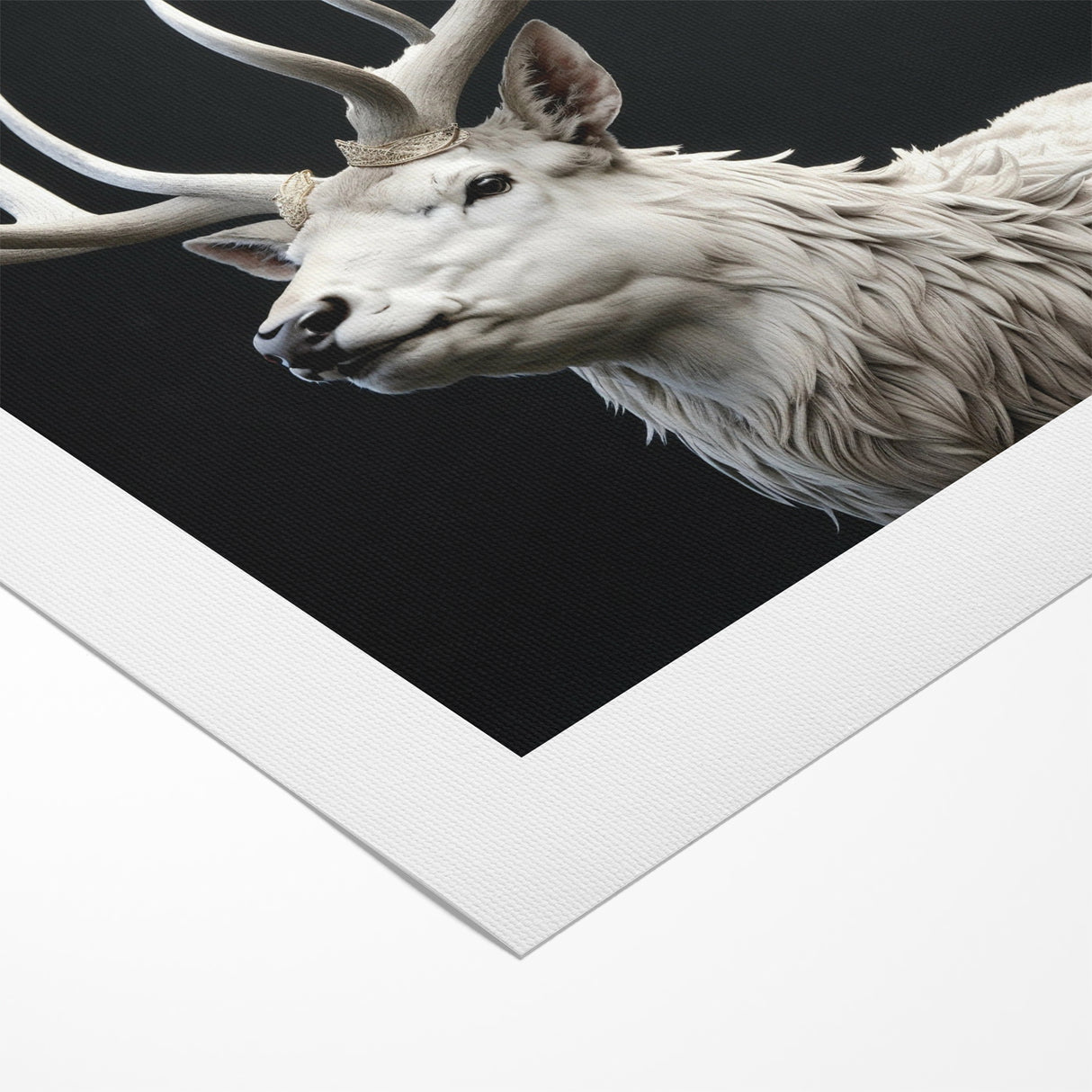 Majestic White Antelope with Regal Antlers - Elegant Wall Art Decor