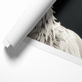 Majestic White Antelope with Regal Antlers - Elegant Wall Art Decor