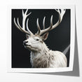 Majestic White Antelope with Regal Antlers - Elegant Wall Art Decor