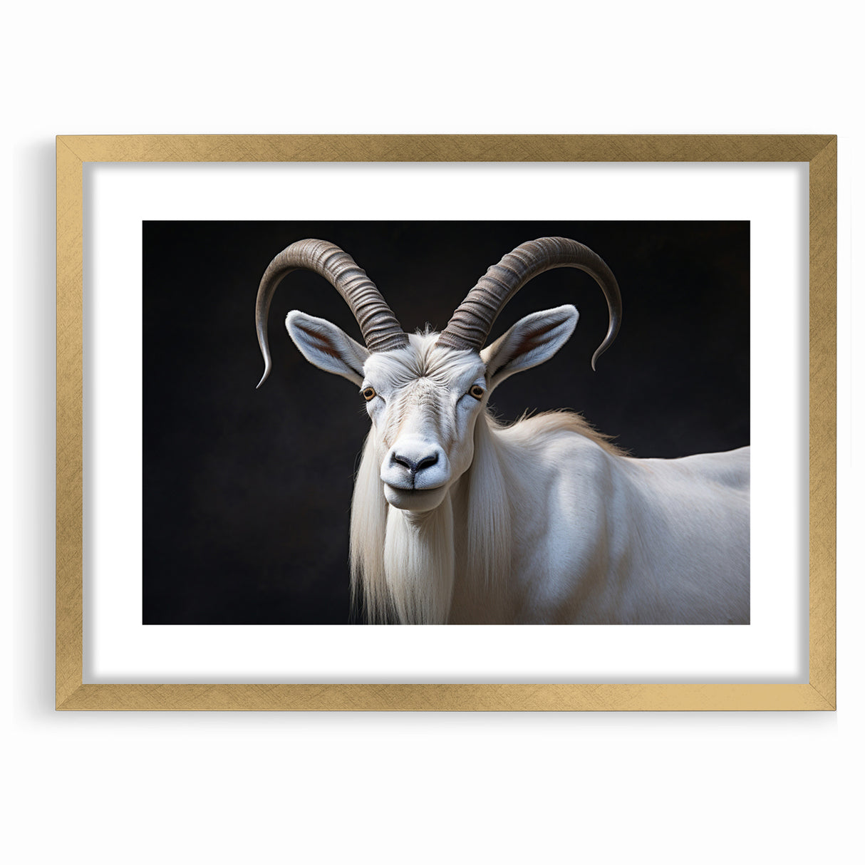 Majestic White Antelope Wildlife Art – Stunning Antelope Canvas Prints