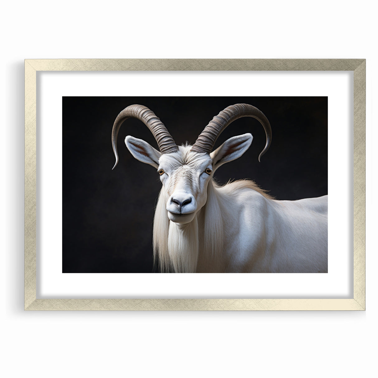 Majestic White Antelope Wildlife Art – Stunning Antelope Canvas Prints