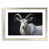 Majestic White Antelope Wildlife Art – Stunning Antelope Canvas Prints