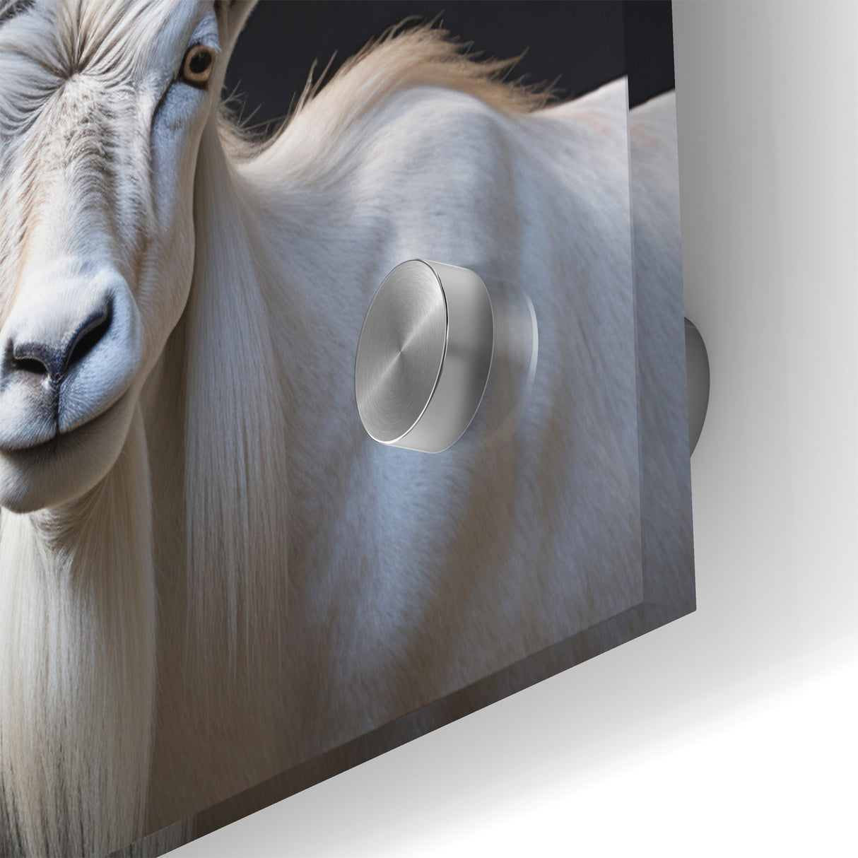 Majestic White Antelope Wildlife Art – Stunning Antelope Canvas Prints