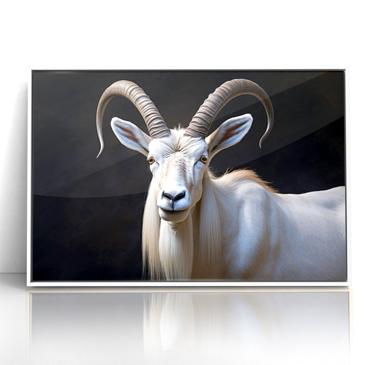 Majestic White Antelope Wildlife Art – Stunning Antelope Canvas Prints