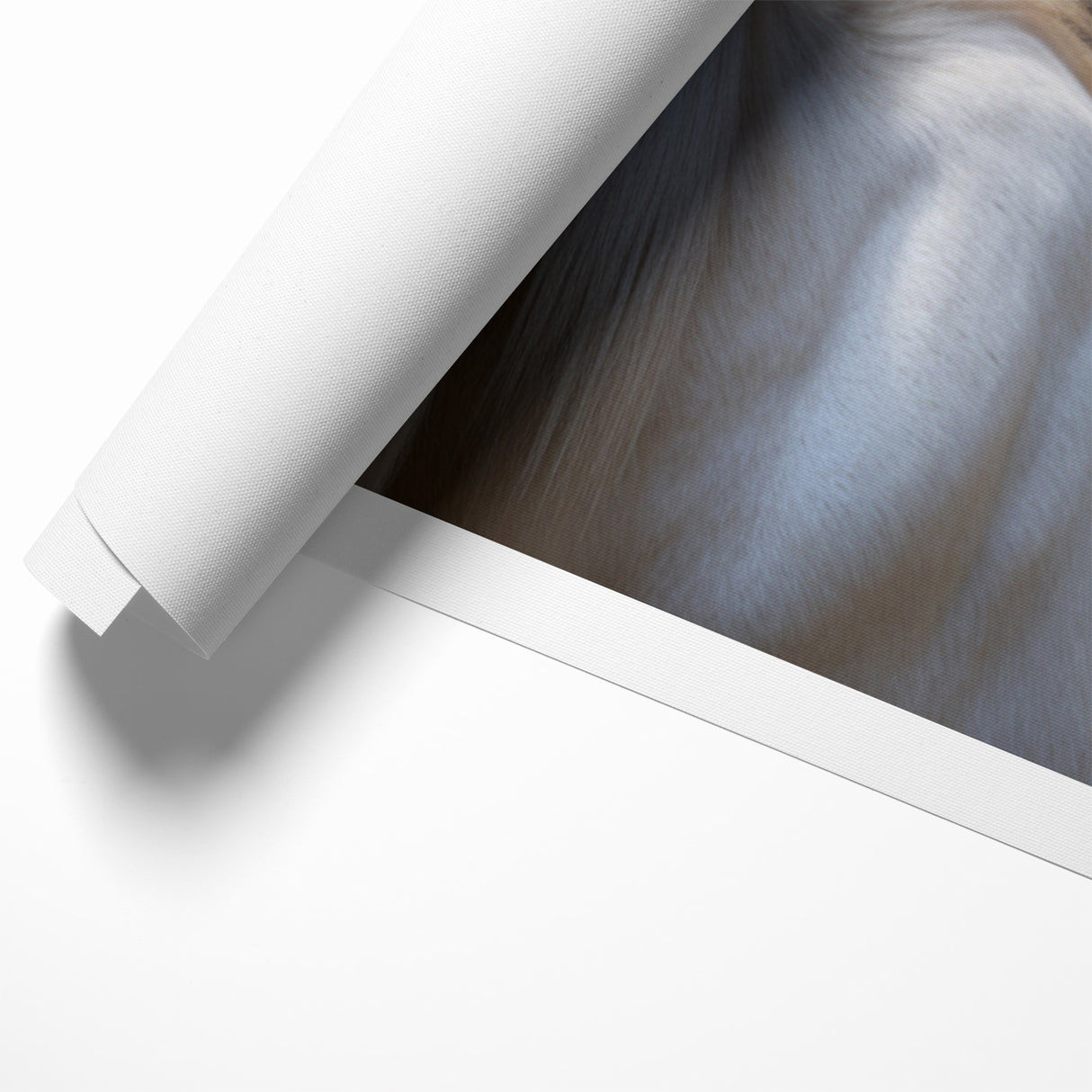 Majestic White Antelope Wildlife Art – Stunning Antelope Canvas Prints