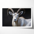 Majestic White Antelope Wildlife Art – Stunning Antelope Canvas Prints