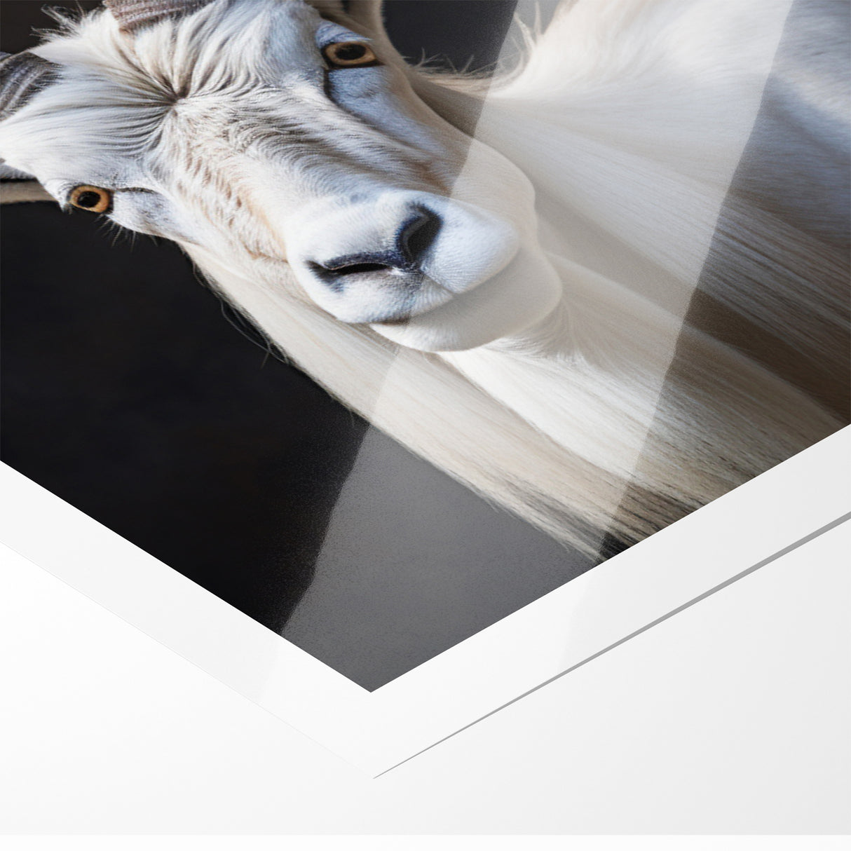 Majestic White Antelope Wildlife Art – Stunning Antelope Canvas Prints