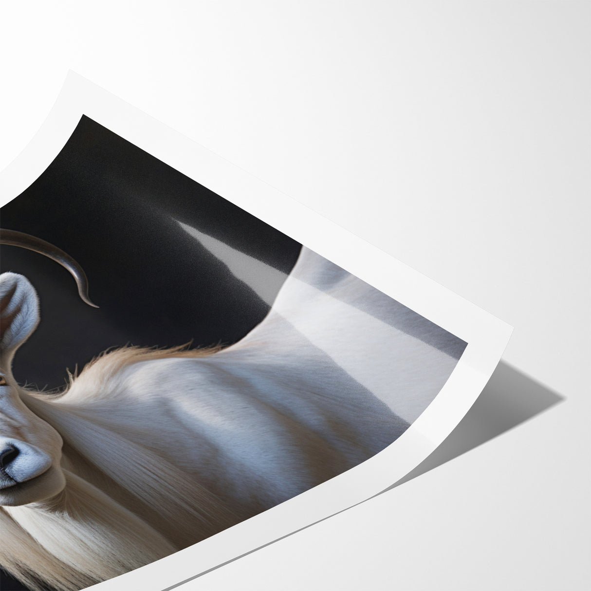 Majestic White Antelope Wildlife Art – Stunning Antelope Canvas Prints