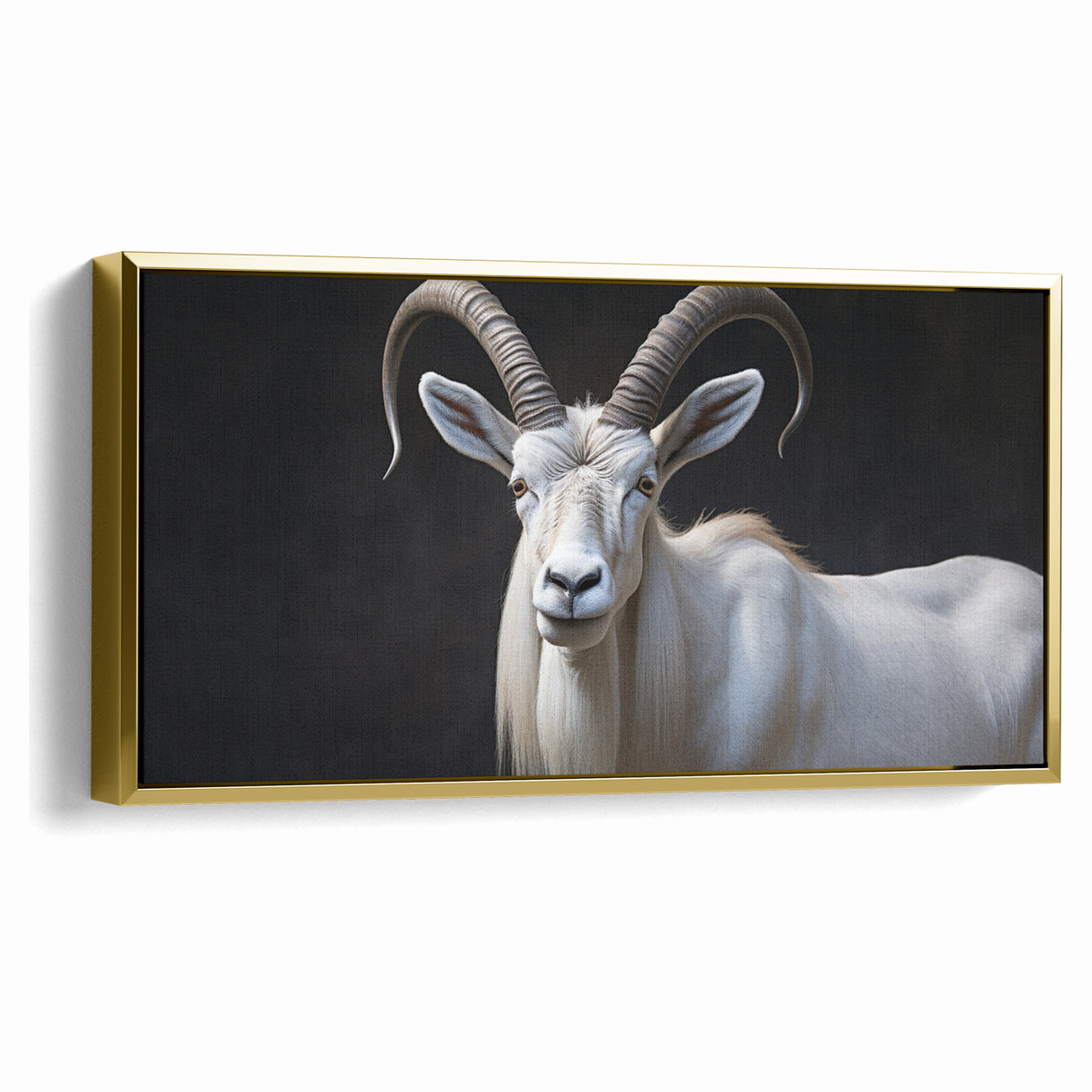 Majestic White Antelope Wildlife Art – Stunning Antelope Canvas Prints