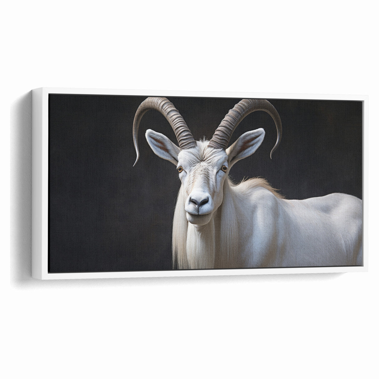 Majestic White Antelope Wildlife Art – Stunning Antelope Canvas Prints