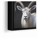 Majestic White Antelope Wildlife Art – Stunning Antelope Canvas Prints