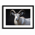 Majestic White Antelope Wildlife Art – Stunning Antelope Canvas Prints