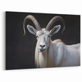 Majestic White Antelope Wildlife Art – Stunning Antelope Canvas Prints