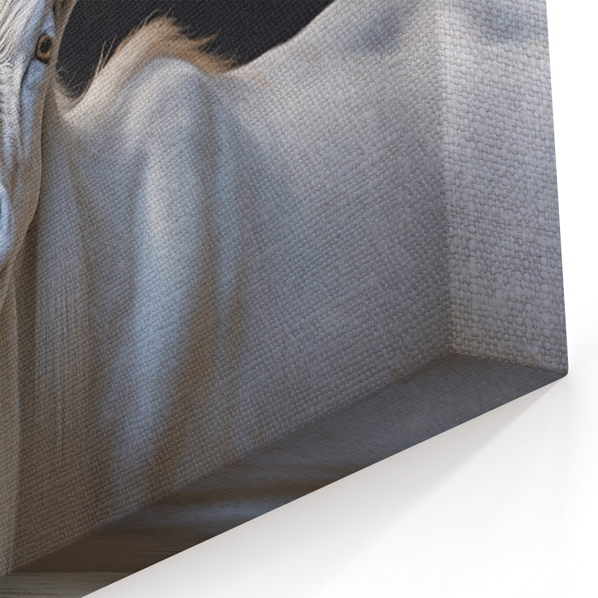 Majestic White Antelope Wildlife Art – Stunning Antelope Canvas Prints