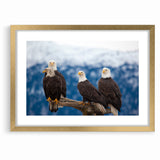 Captivating Birds of Prey Wall Art – Group of Bald Eagles Wildlife Print