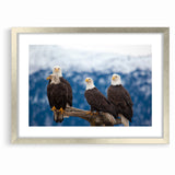 Captivating Birds of Prey Wall Art – Group of Bald Eagles Wildlife Print