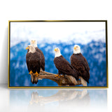 Captivating Birds of Prey Wall Art – Group of Bald Eagles Wildlife Print