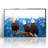 Captivating Birds of Prey Wall Art – Group of Bald Eagles Wildlife Print