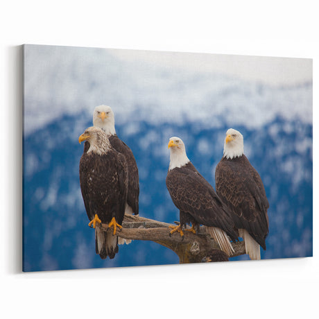 Captivating Birds of Prey Wall Art – Group of Bald Eagles Wildlife Print
