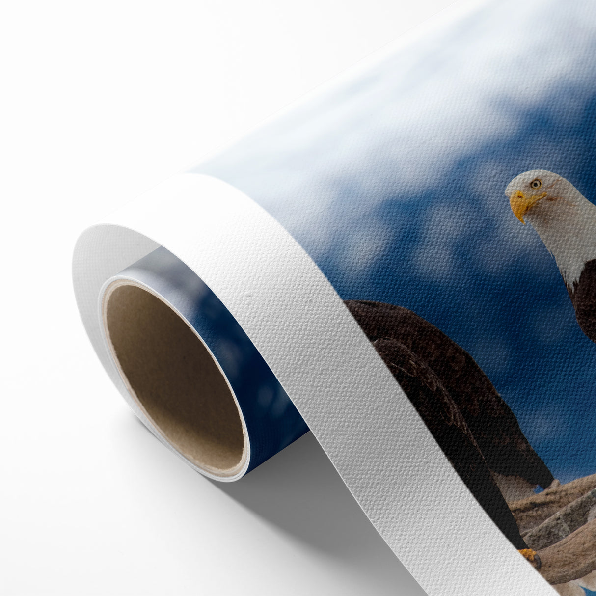 Captivating Birds of Prey Wall Art – Group of Bald Eagles Wildlife Print