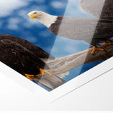 Captivating Birds of Prey Wall Art – Group of Bald Eagles Wildlife Print