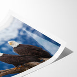 Captivating Birds of Prey Wall Art – Group of Bald Eagles Wildlife Print