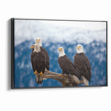 Captivating Birds of Prey Wall Art – Group of Bald Eagles Wildlife Print