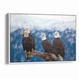 Captivating Birds of Prey Wall Art – Group of Bald Eagles Wildlife Print
