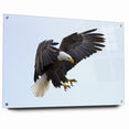 Dynamic Birds of Prey Wall Art – Bald Eagle Mid-Flight Canvas Print