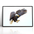 Dynamic Birds of Prey Wall Art – Bald Eagle Mid-Flight Canvas Print