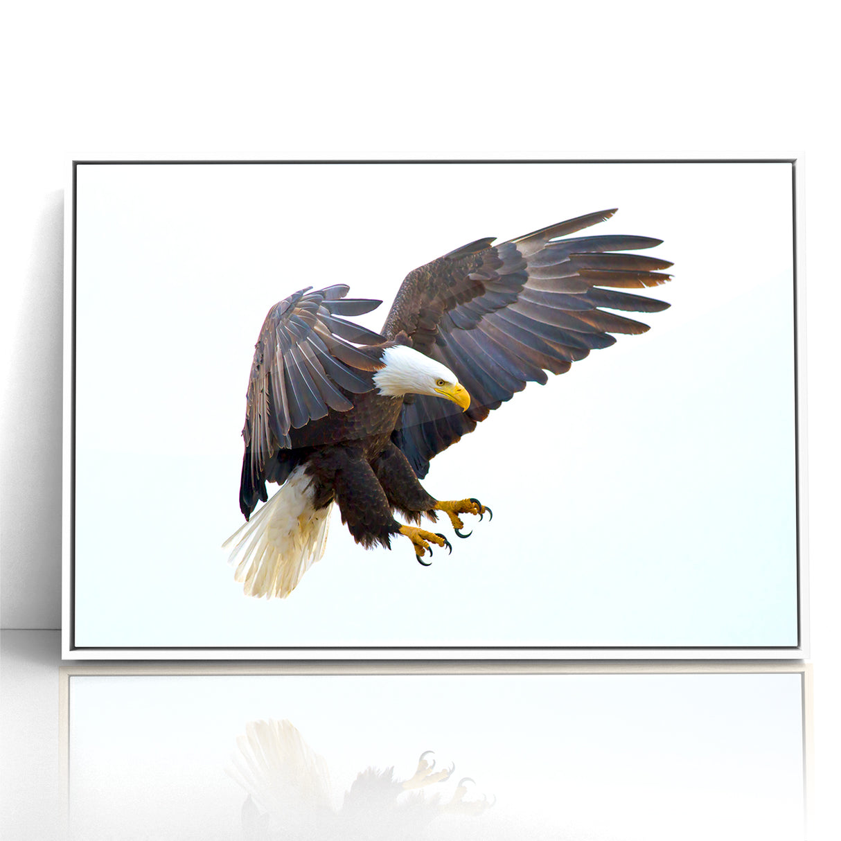 Dynamic Birds of Prey Wall Art – Bald Eagle Mid-Flight Canvas Print