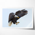 Dynamic Birds of Prey Wall Art – Bald Eagle Mid-Flight Canvas Print