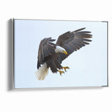 Dynamic Birds of Prey Wall Art – Bald Eagle Mid-Flight Canvas Print