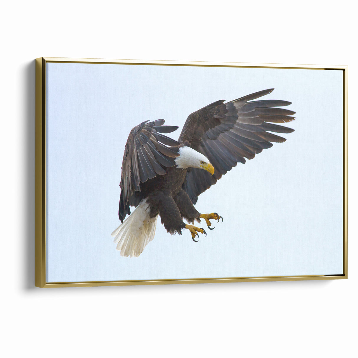 Dynamic Birds of Prey Wall Art – Bald Eagle Mid-Flight Canvas Print