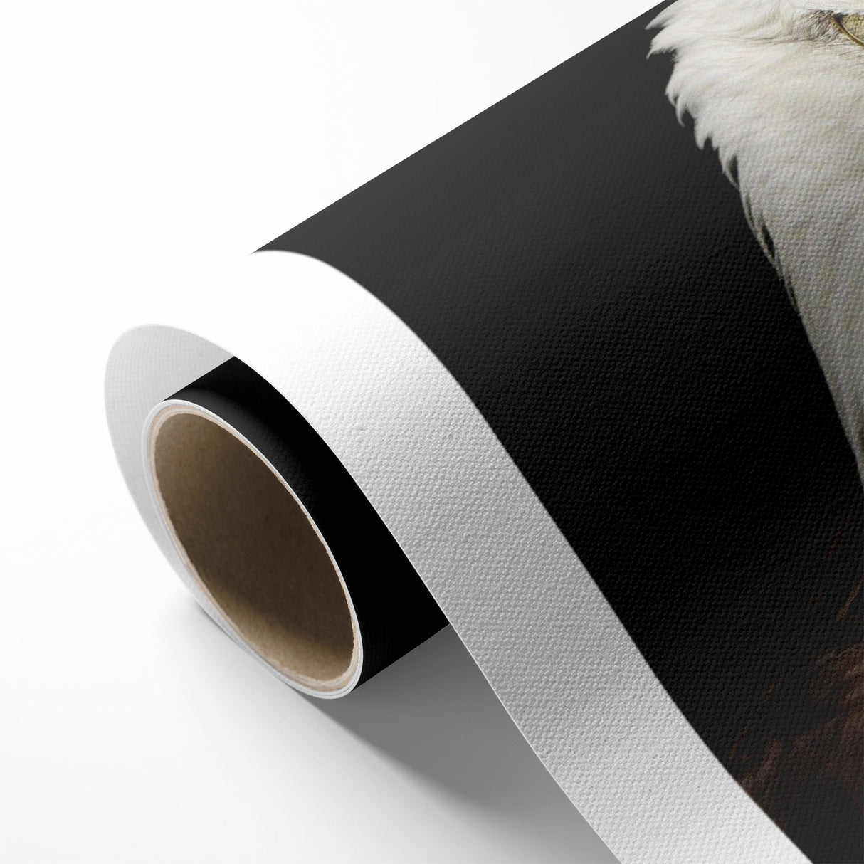 Bold Birds of Prey Wall Art – Bald Eagle Fierce Gaze Canvas Print