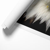 Bold Birds of Prey Wall Art – Bald Eagle Fierce Gaze Canvas Print