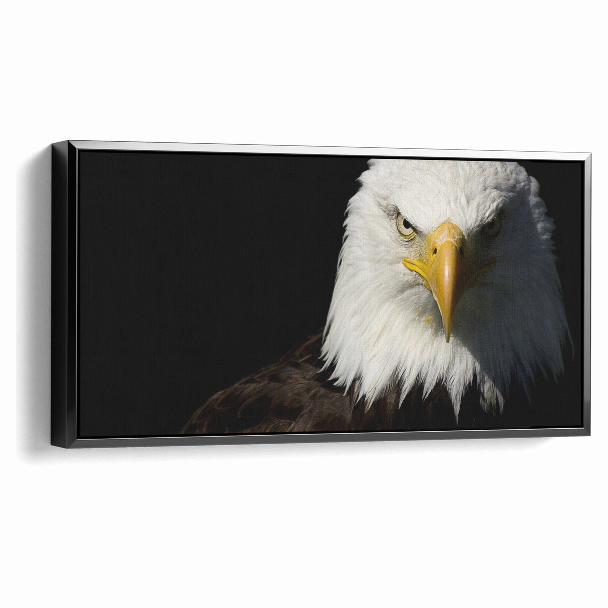 Bold Birds of Prey Wall Art – Bald Eagle Fierce Gaze Canvas Print