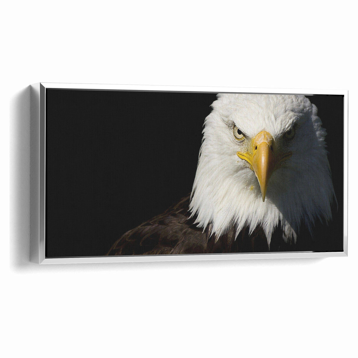 Bold Birds of Prey Wall Art – Bald Eagle Fierce Gaze Canvas Print