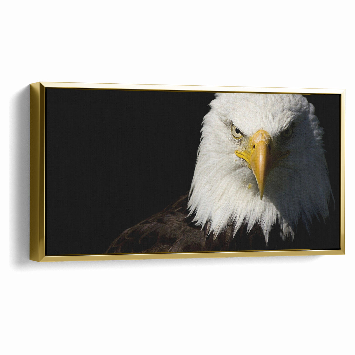 Bold Birds of Prey Wall Art – Bald Eagle Fierce Gaze Canvas Print