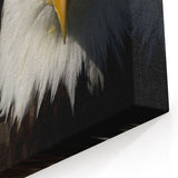Bold Birds of Prey Wall Art – Bald Eagle Fierce Gaze Canvas Print
