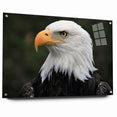 Regal Birds of Prey Wall Art – Bald Eagle Profile Canvas Print