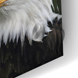Regal Birds of Prey Wall Art – Bald Eagle Profile Canvas Print