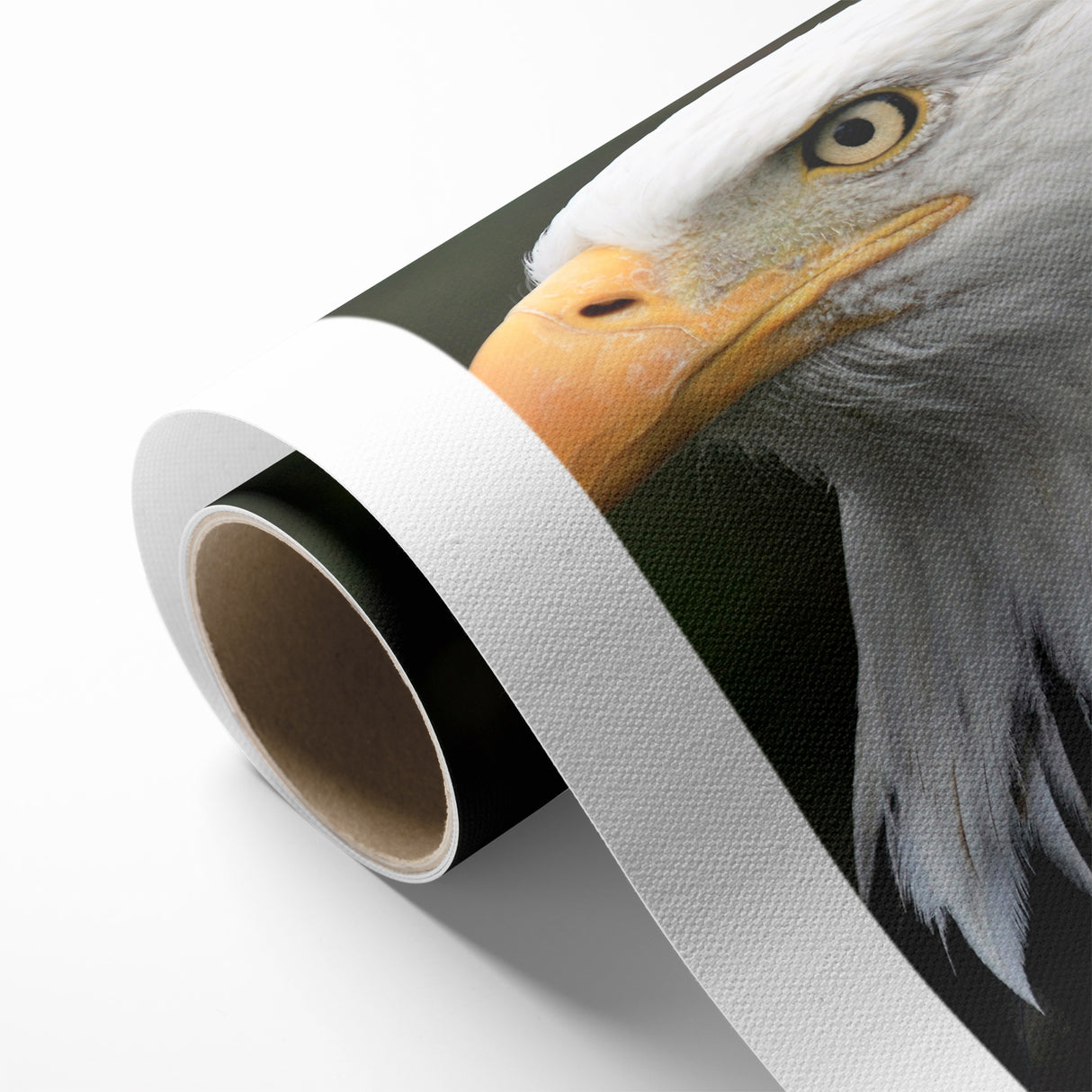 Regal Birds of Prey Wall Art – Bald Eagle Profile Canvas Print