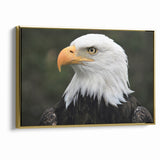 Regal Birds of Prey Wall Art – Bald Eagle Profile Canvas Print