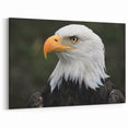 Regal Birds of Prey Wall Art – Bald Eagle Profile Canvas Print