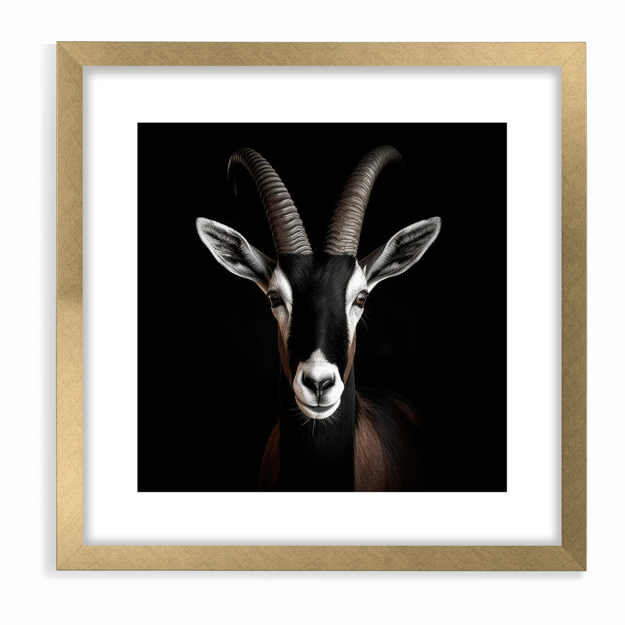 Elegant Black Antelope Wildlife Art – Captivating Antelope Canvas Prints